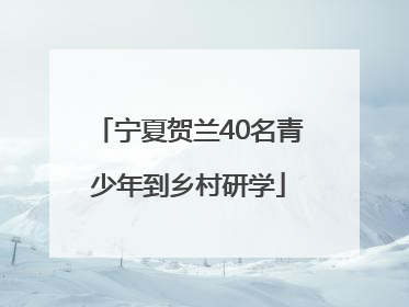 宁夏贺兰40名青少年到乡村研学